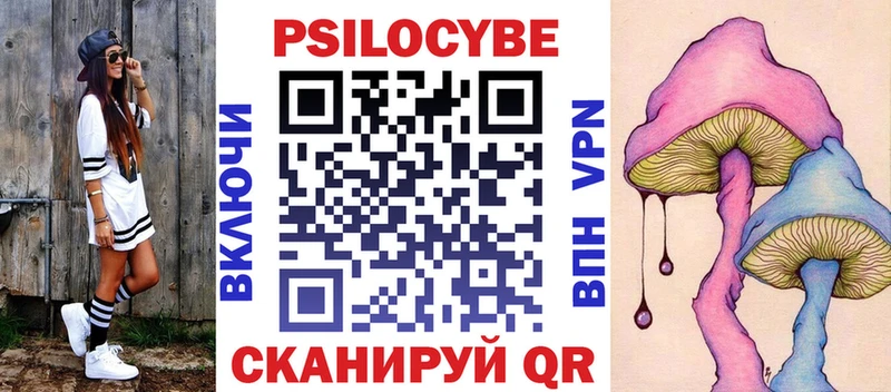 закладка  Краснообск  Галлюциногенные грибы мицелий 